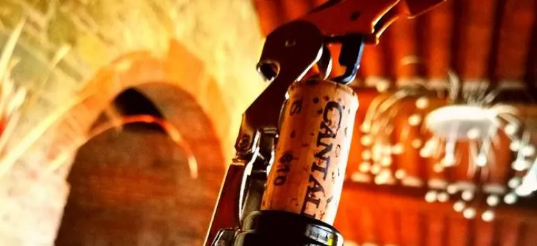 Immagine visita Degustazione completa cantina Cantina Cantalici