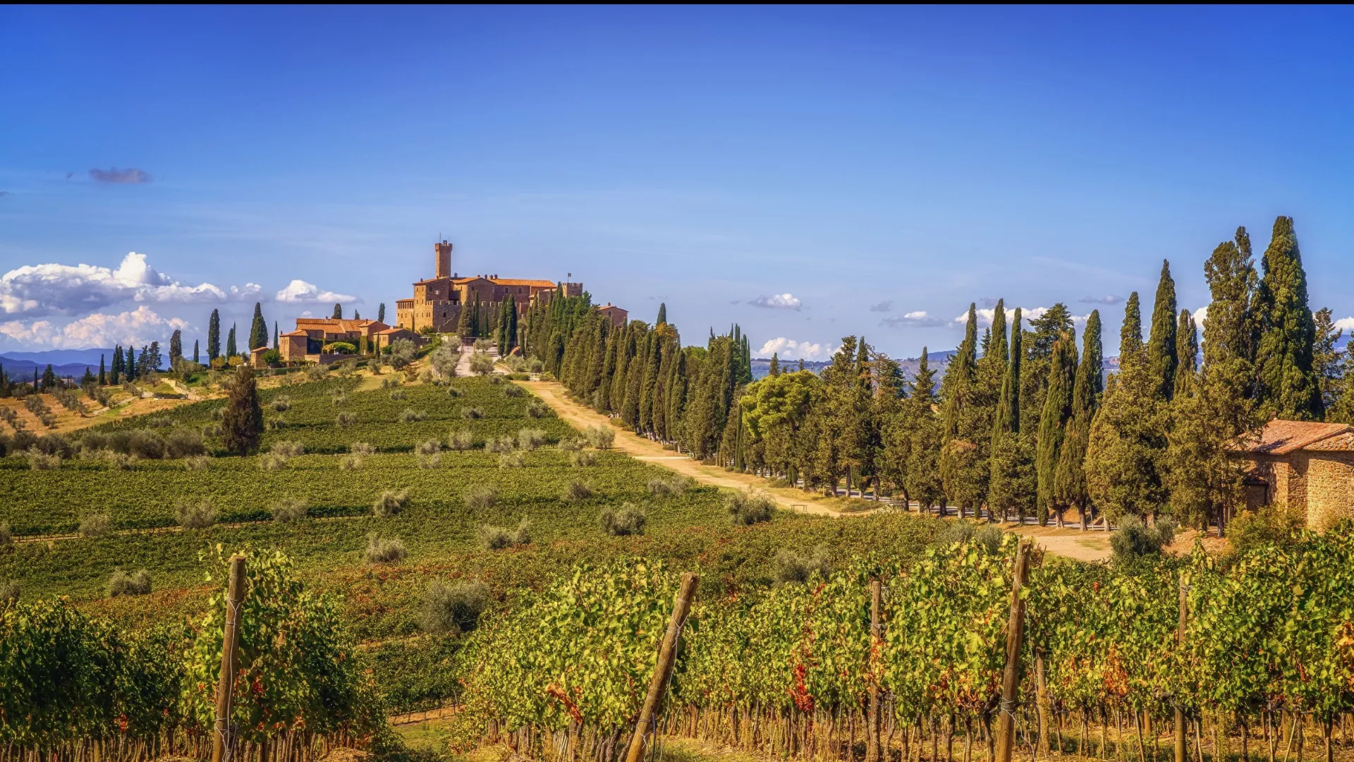 Immagine cantina Castello Banfi il Borgo
