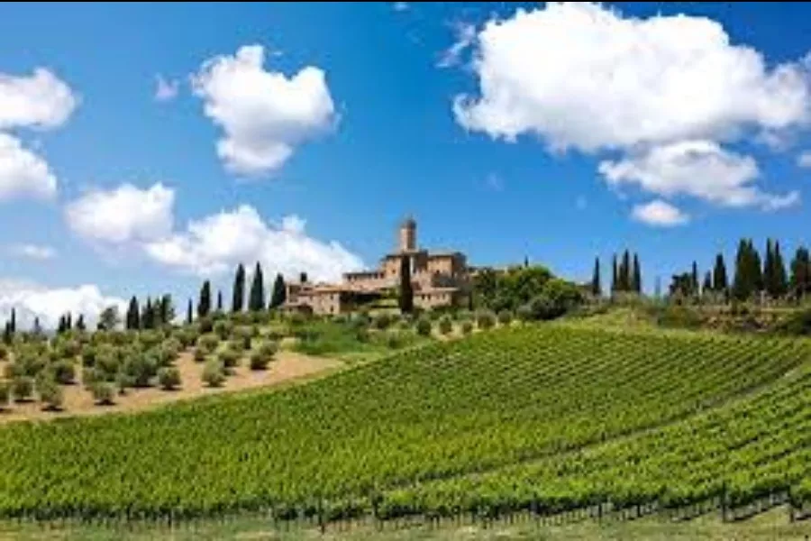 Immagine Castello Banfi il Borgo 4 Immagine Castello Banfi il Borgo 4