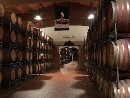 Immagine Castello Banfi il Borgo 2