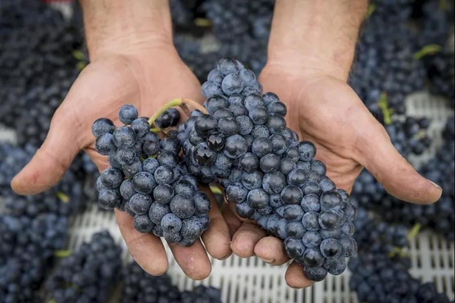 Immagine Ca' di Rajo 3 Immagine Ca' di Rajo 3