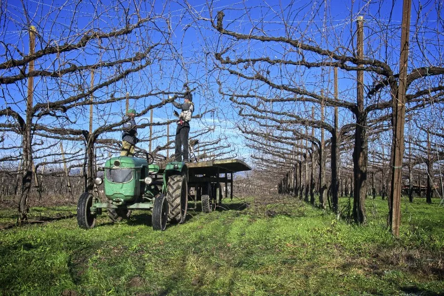 Immagine Classic Wine Tour 13 Immagine Classic Wine Tour 13