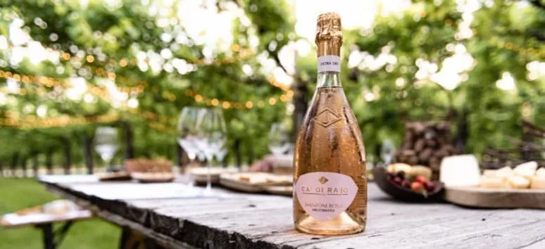 Immagine visita Bellussera Wine Tour cantina Ca' di Rajo