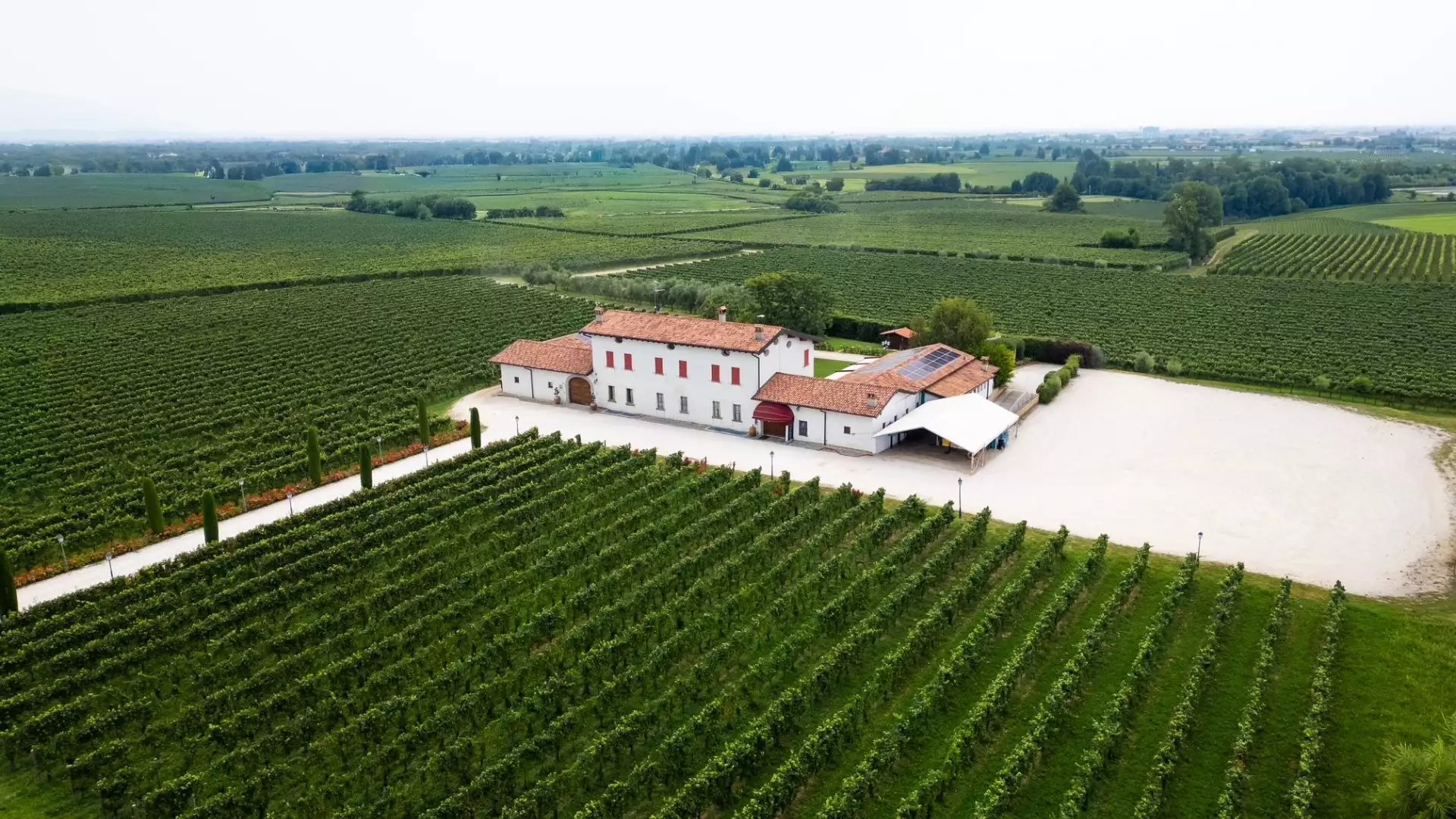 Immagine cantina Tenuta Ambrosini