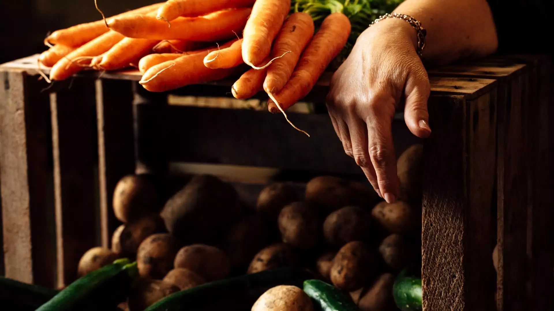 Immagine visita Menù vegetariano cantina Tenuta Ambrosini Immagine visita Menù vegetariano cantina Tenuta Ambrosini