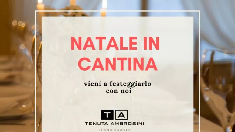 Immagine visita NATALE IN CANTINA cantina Tenuta Ambrosini