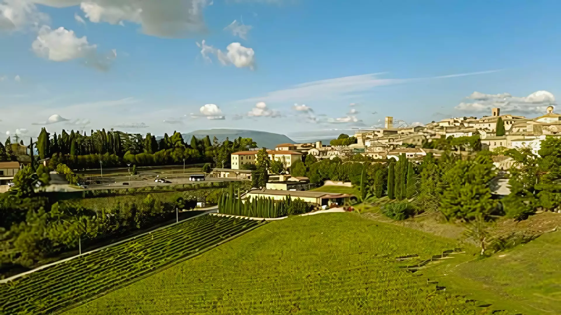 Immagine cantina Cantina Fratelli Pardi 