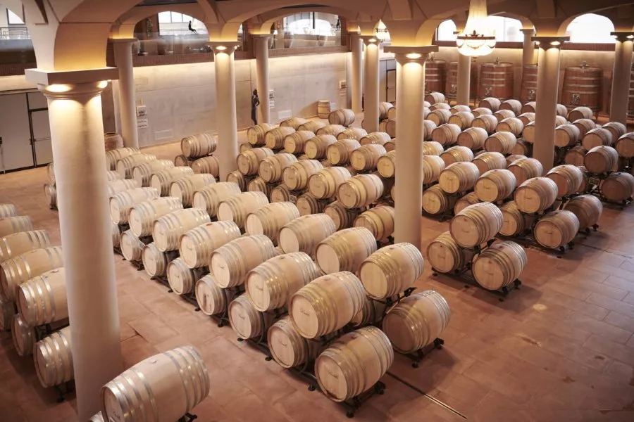 Immagine Bindella Tenuta Vallocaia 4 Immagine Bindella Tenuta Vallocaia 4