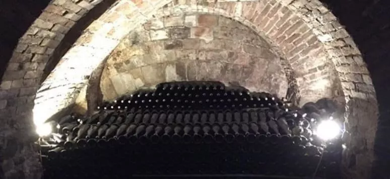 Immagine visita Metodo Classico e Rossi delle Langhe cantina Cantina Cortino Produttori Dianesi Immagine visita Metodo Classico e Rossi delle Langhe cantina Cantina Cortino Produttori Dianesi
