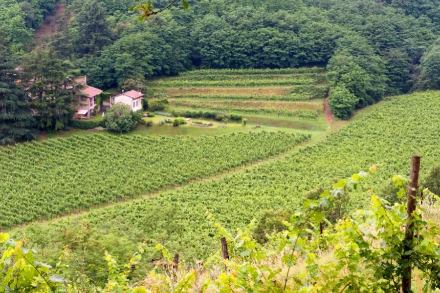 Immagine Castelveder 5