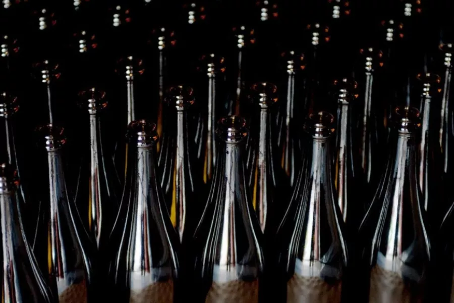 Immagine Alla scoperta dei vini Castelveder 9 Immagine Alla scoperta dei vini Castelveder 9