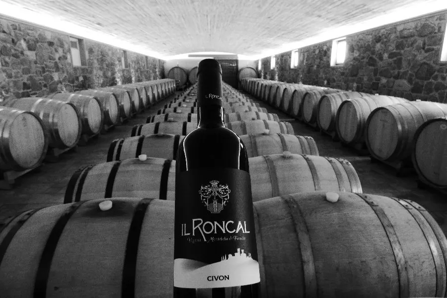 Immagine Il Roncal 3