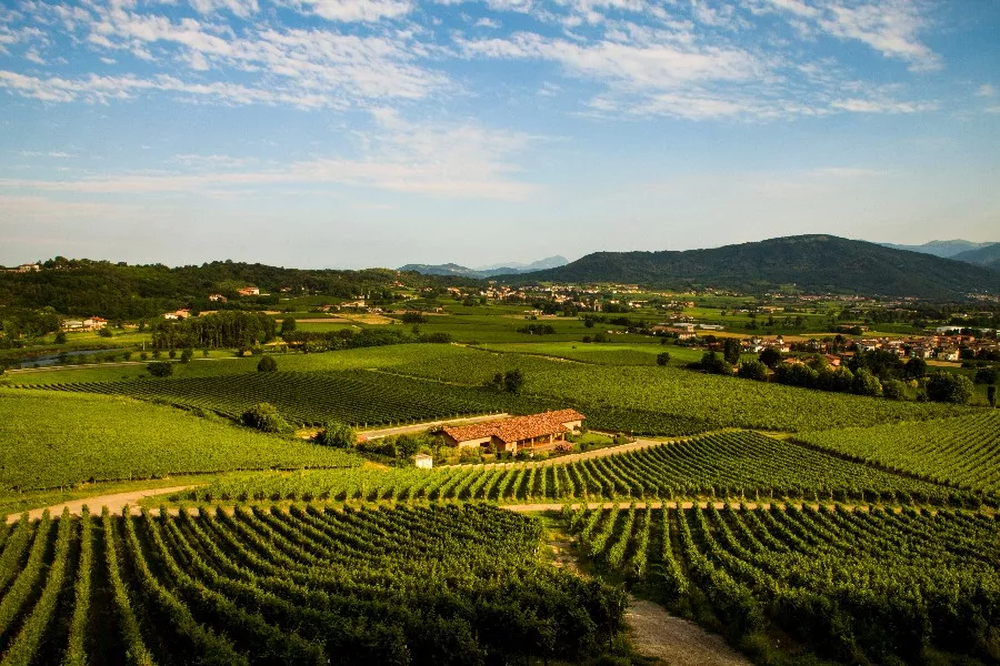 Immagine Ronco Calino 3