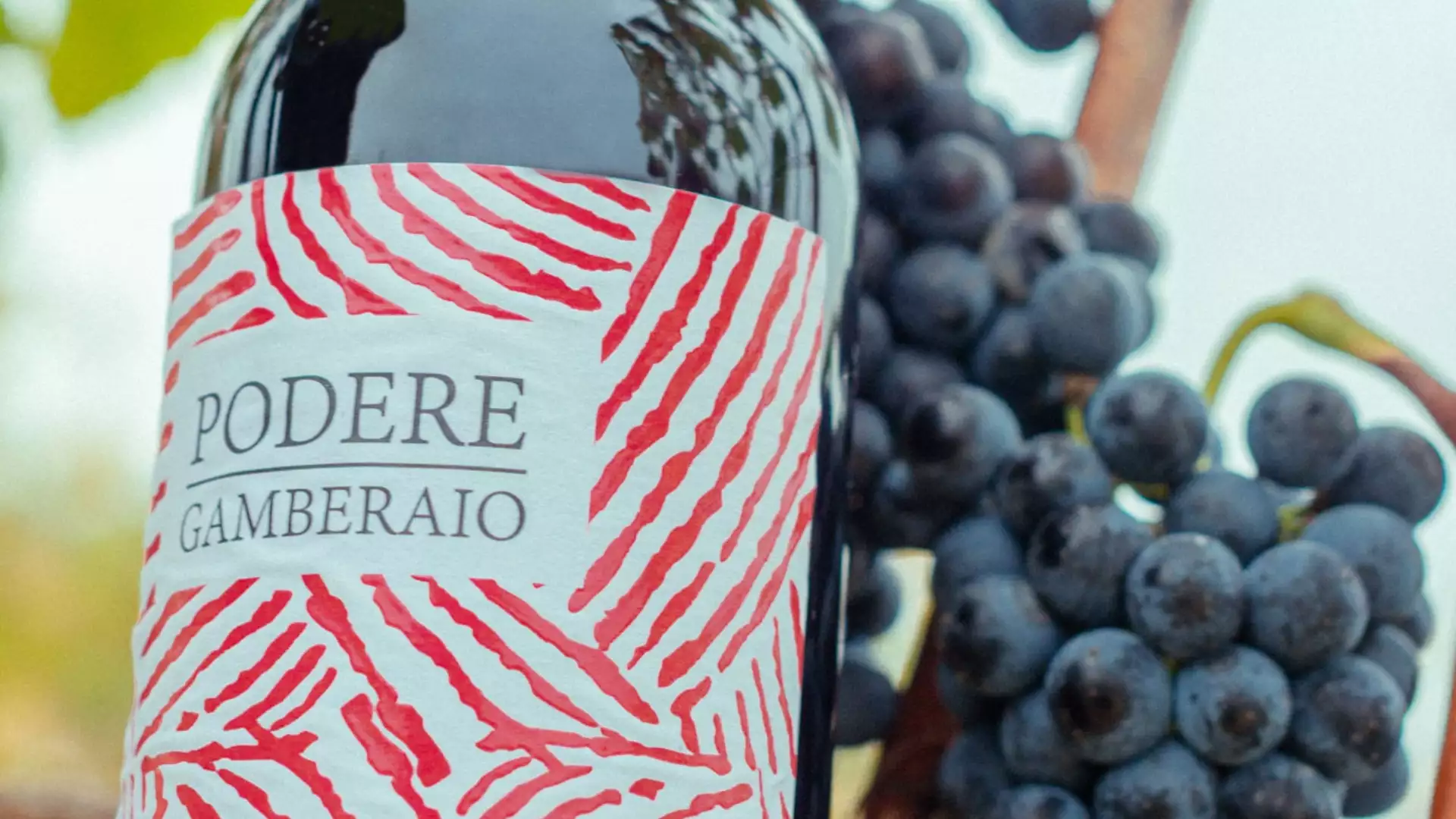 Immagine visita Gli Iconici Tre cantina Podere Gamberaio Immagine visita Gli Iconici Tre cantina Podere Gamberaio