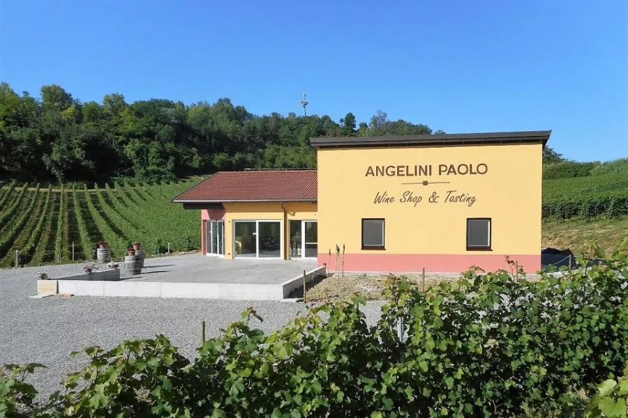 Immagine Cantina Angelini Paolo 3 Immagine Cantina Angelini Paolo 3