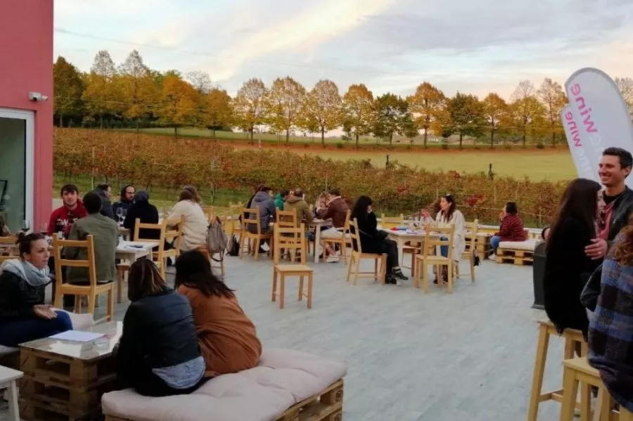 Immagine Visita vigne, cantina e degustazione 3 vini (2 Linea Classica+ 1 Linea Selection etichetta argento) 7 Immagine Visita vigne, cantina e degustazione 3 vini (2 Linea Classica+ 1 Linea Selection etichetta argento) 7