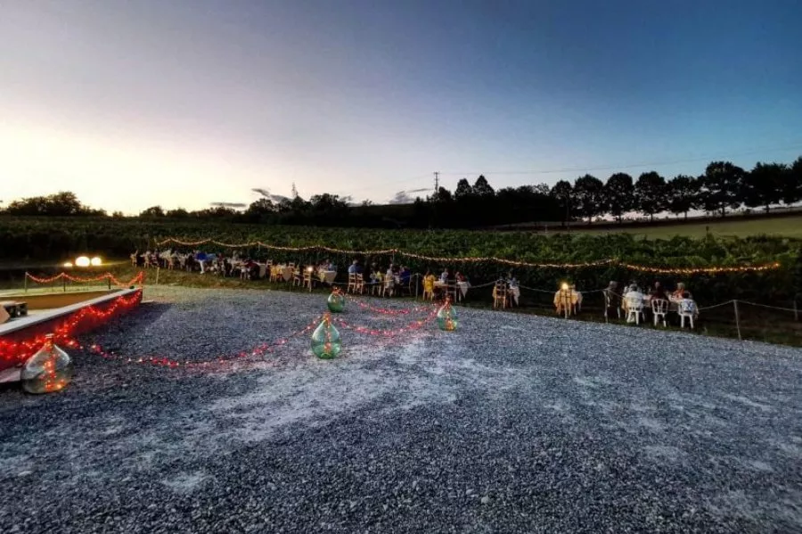 Immagine Visita vigne, cantina e degustazione 3 vini (2 Linea Classica+ 1 Linea Selection etichetta argento) 8 Immagine Visita vigne, cantina e degustazione 3 vini (2 Linea Classica+ 1 Linea Selection etichetta argento) 8