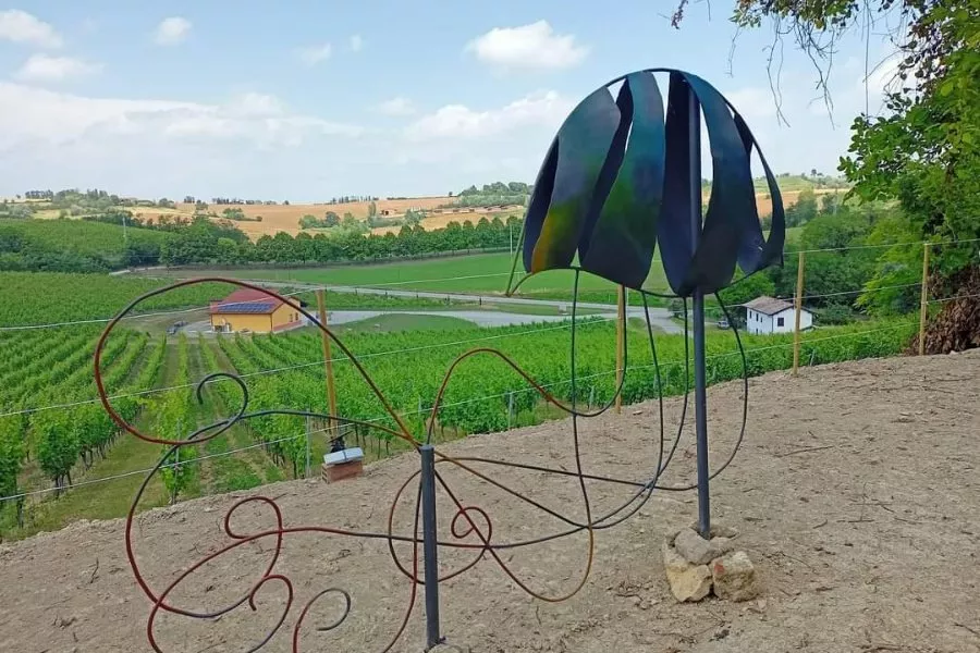 Immagine Visita vigne, cantina e degustazione 3 vini (2 Linea Classica+ 1 Linea Selection etichetta argento) 9 Immagine Visita vigne, cantina e degustazione 3 vini (2 Linea Classica+ 1 Linea Selection etichetta argento) 9