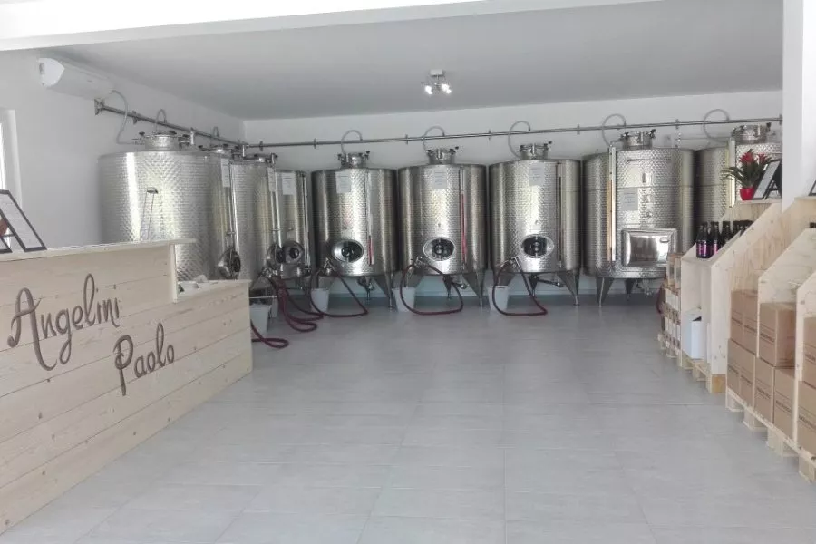 Immagine Visita vigne, cantina e degustazione 3 vini (2 Linea Classica+ 1 Linea Selection etichetta argento) 12 Immagine Visita vigne, cantina e degustazione 3 vini (2 Linea Classica+ 1 Linea Selection etichetta argento) 12