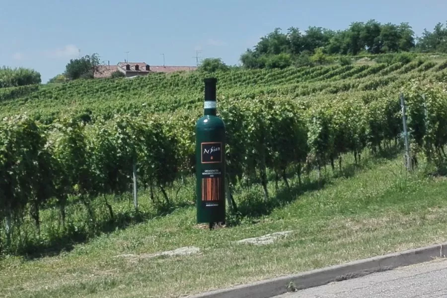 Immagine Visita vigne, cantina e degustazione 3 vini (2 Linea Classica+ 1 Linea Selection etichetta argento) 18 Immagine Visita vigne, cantina e degustazione 3 vini (2 Linea Classica+ 1 Linea Selection etichetta argento) 18