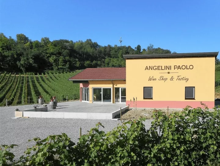 Immagine Cantina Angelini Paolo 2 Immagine Cantina Angelini Paolo 2