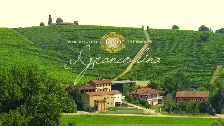 Immagine visita Avventura enogastronomica nelle Terre Alfieri cantina Cantina Agriturismo Grancollina