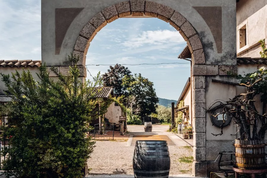 Immagine Cantina Gentili 3 Immagine Cantina Gentili 3
