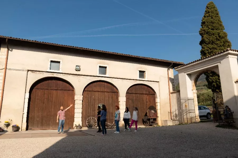 Cantina Gentili