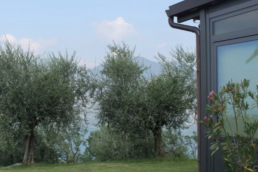 Immagine Massussi Luigi Franciacorta 4 Immagine Massussi Luigi Franciacorta 4