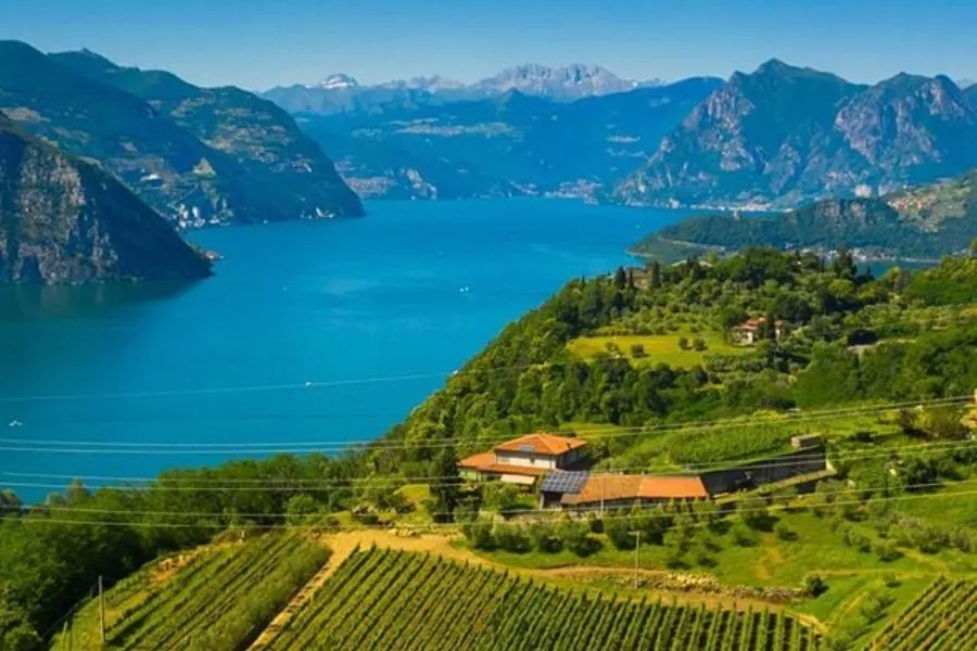 Immagine Degustazione vista lago 11 Immagine Degustazione vista lago 11