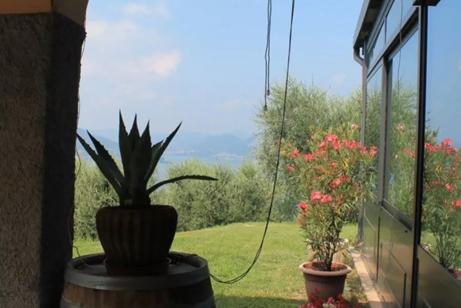 Immagine Degustazione vista lago 20 Immagine Degustazione vista lago 20