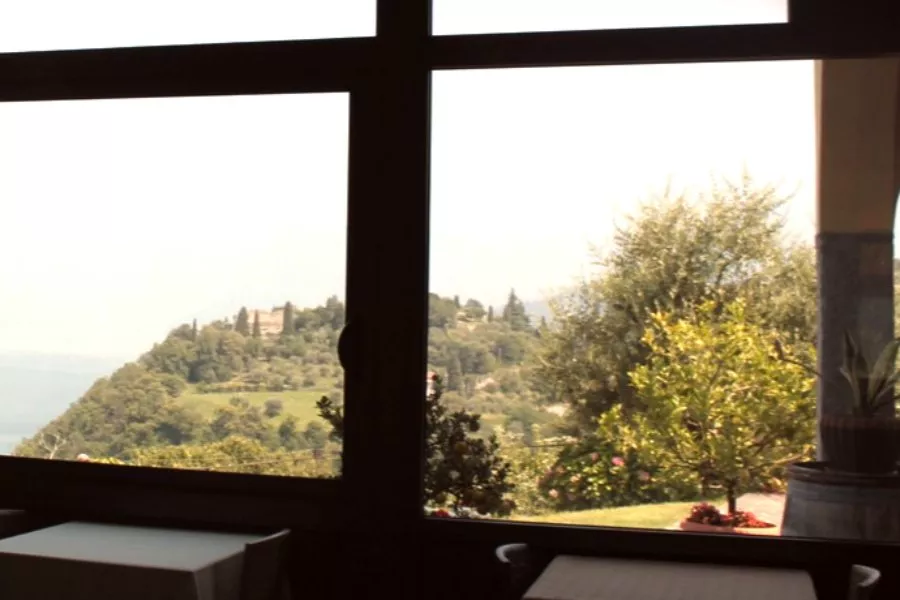Immagine Degustazione vista lago 21 Immagine Degustazione vista lago 21