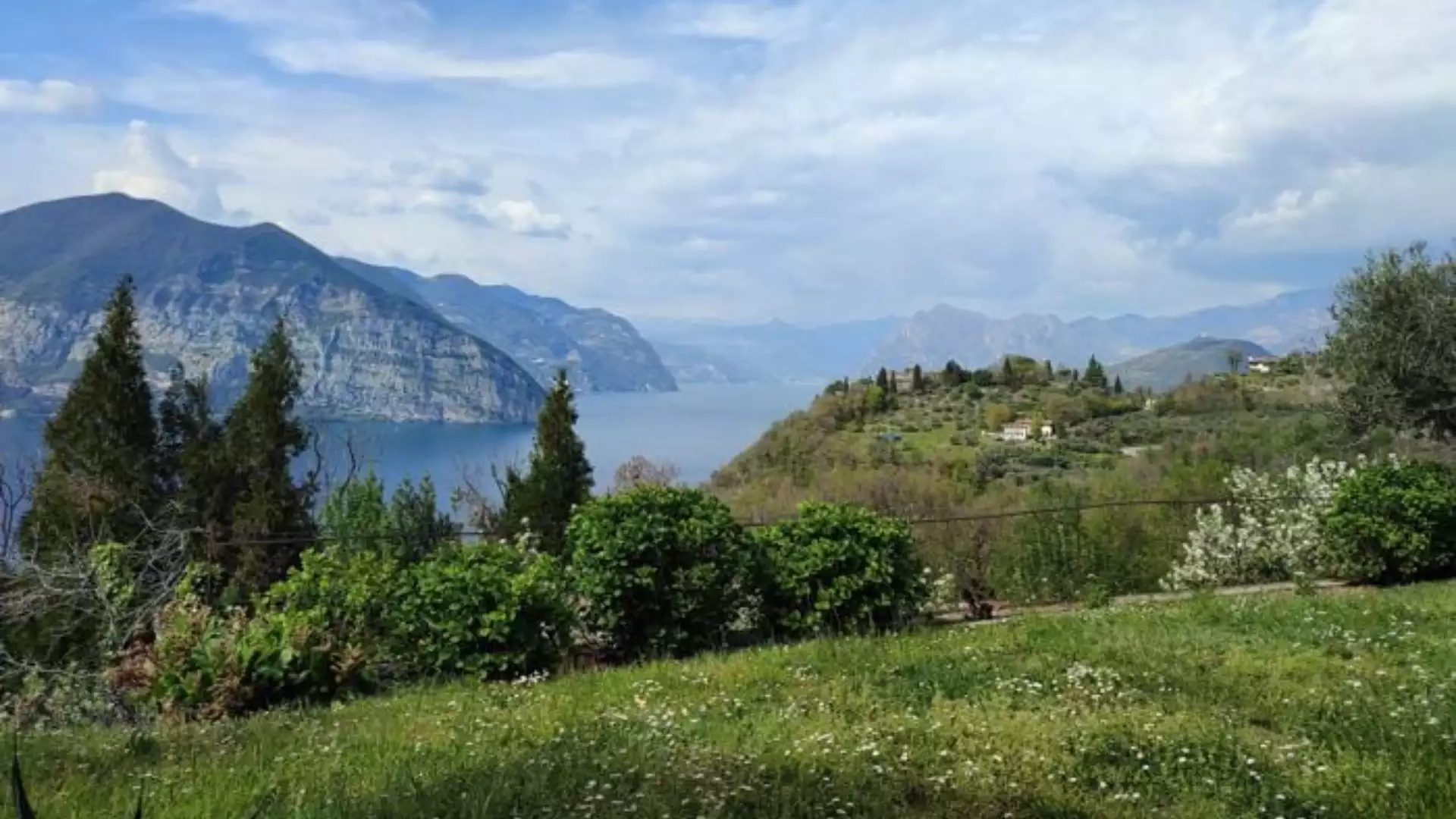 Immagine visita Jahrgangsverkostung mit Seeblick