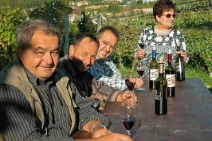 Immagine Vini Drocco 4 Immagine Vini Drocco 4