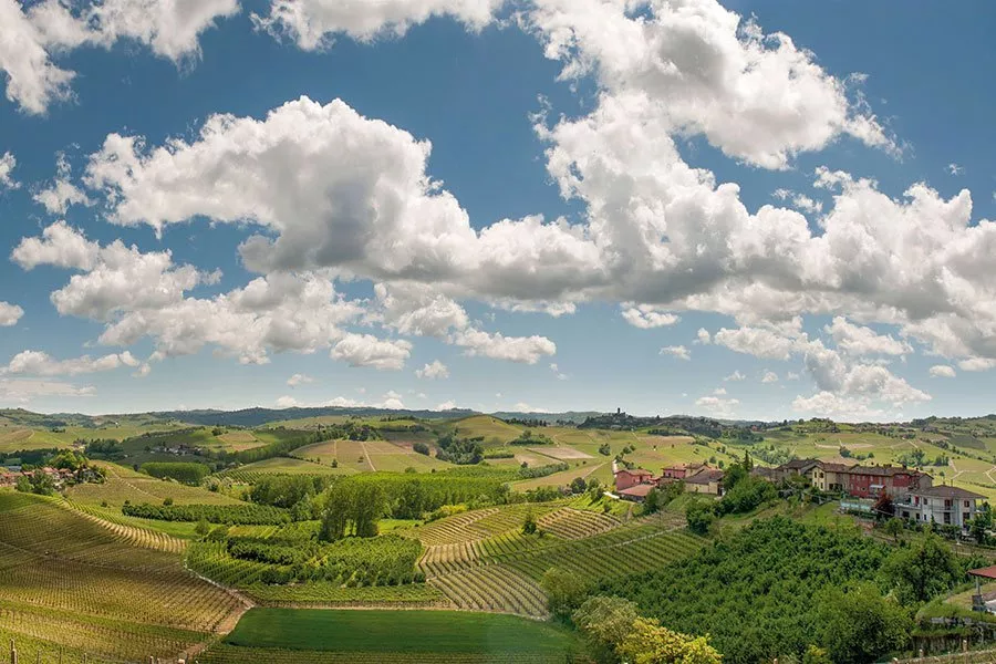 Immagine Degustazione di langa Superiori 7 Immagine Degustazione di langa Superiori 7