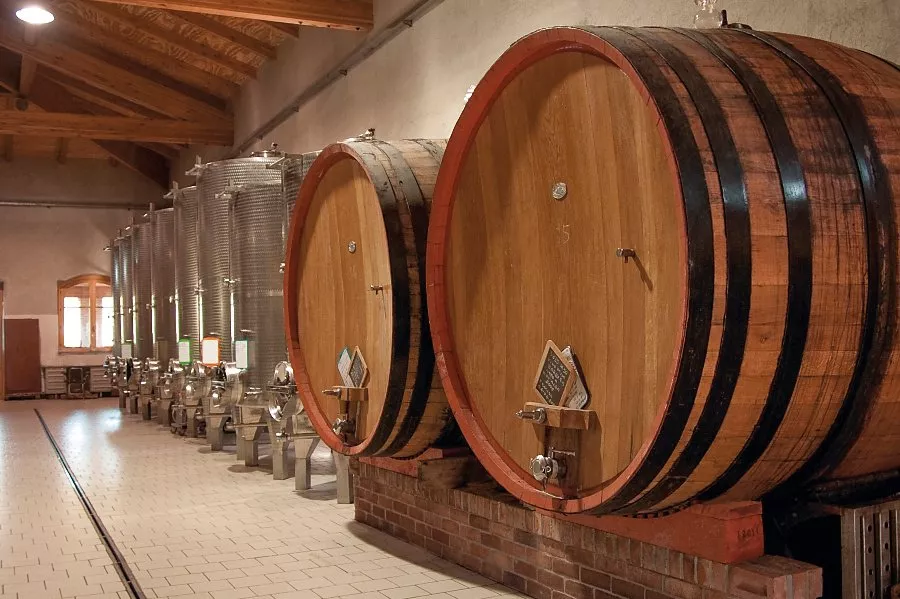 Immagine Degustazione di langa Superiori 10 Immagine Degustazione di langa Superiori 10