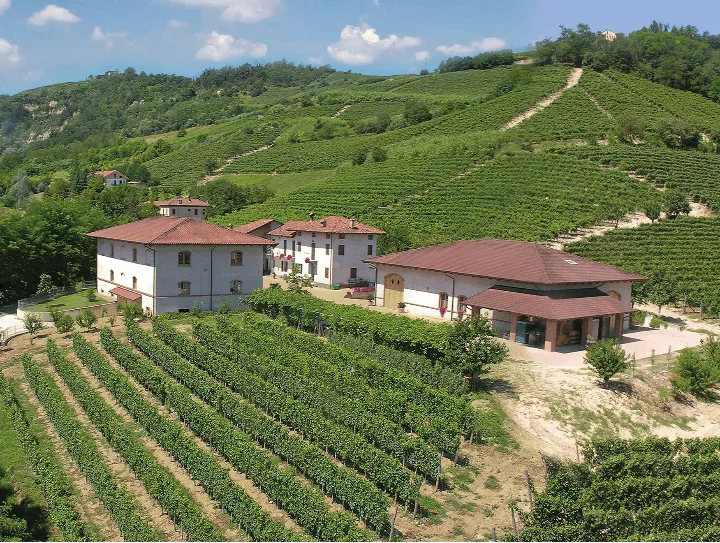 Immagine Vini Drocco 2 Immagine Vini Drocco 2