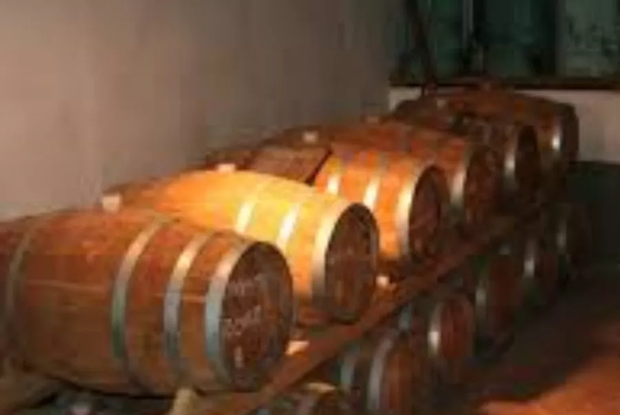 Immagine Fattoria di Bacchereto 4 Immagine Fattoria di Bacchereto 4
