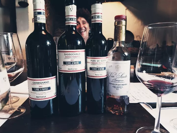 Immagine visita Visita guidata alle cantine e ai vigneti con degustazione di vini e olio cantina Fattoria di Bacchereto