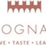 Castello di Volognano logo