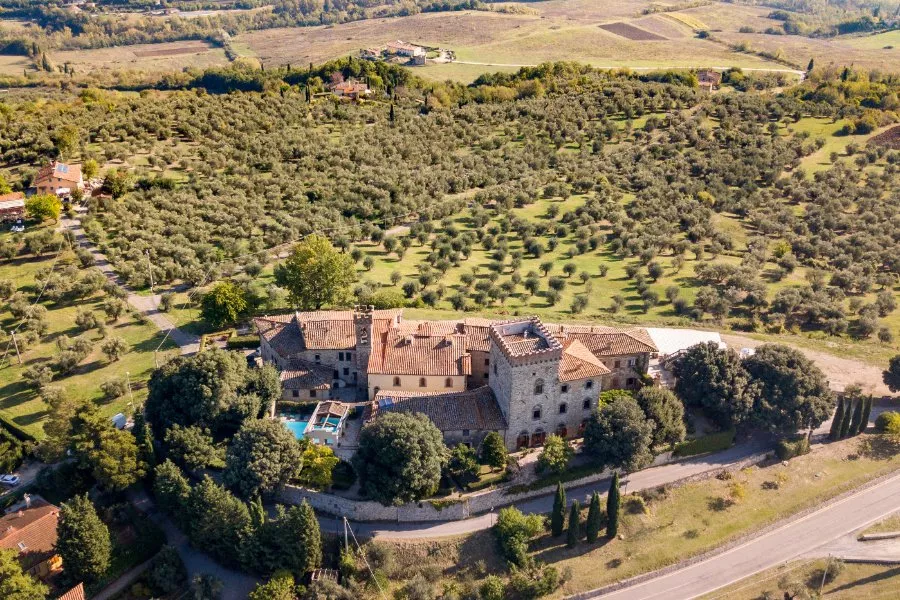 Immagine Un pranzo tra i Colli Fiorentini 7 Immagine Un pranzo tra i Colli Fiorentini 7