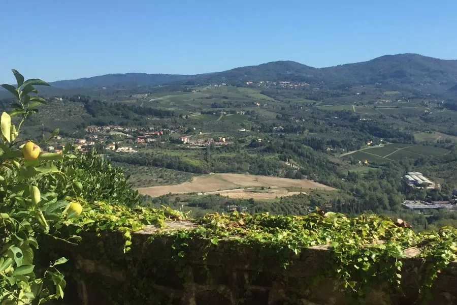 Immagine Un pranzo tra i Colli Fiorentini 15 Immagine Un pranzo tra i Colli Fiorentini 15
