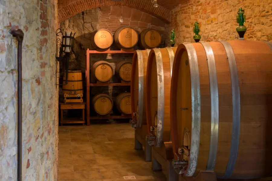 Immagine Un pranzo tra i Colli Fiorentini 20 Immagine Un pranzo tra i Colli Fiorentini 20