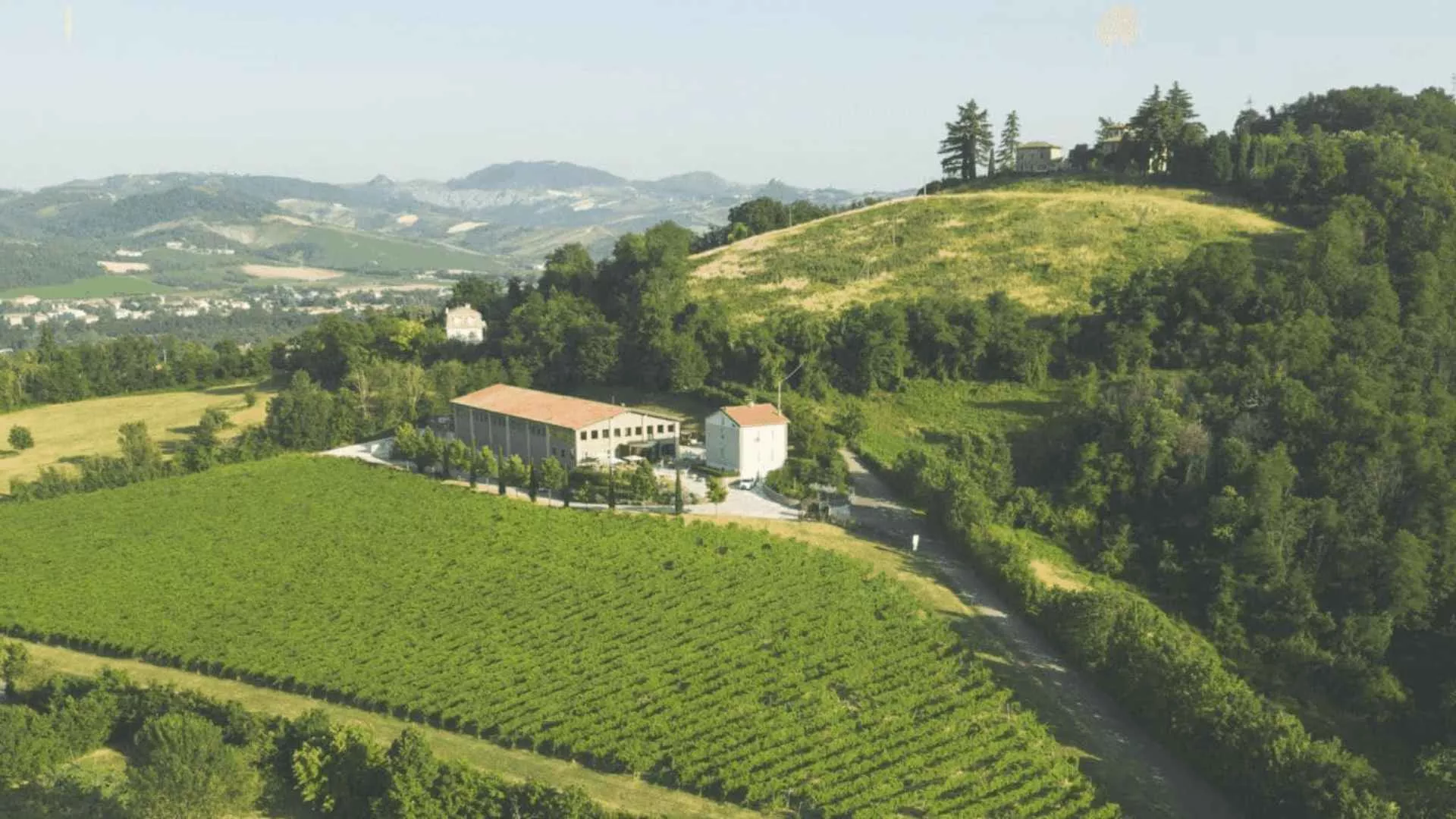Immagine Oinoe Vini 1 Immagine Oinoe Vini 1
