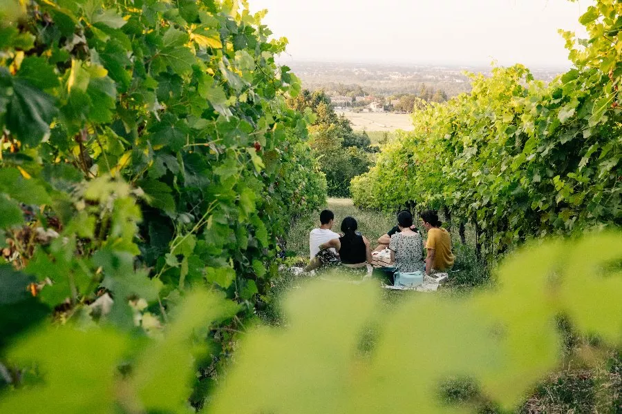 Immagine Oinoe Vini 4 Immagine Oinoe Vini 4