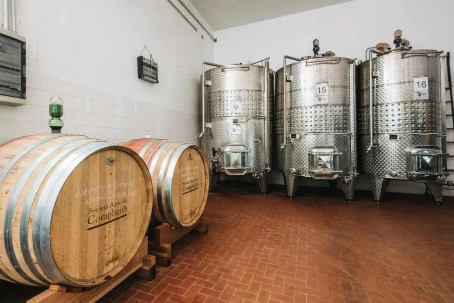 Immagine Degustazione  5 vini + olio 4