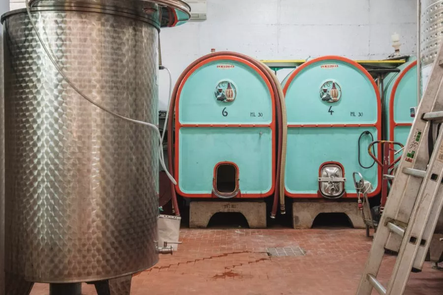 Immagine Degustazione  5 vini + olio 5