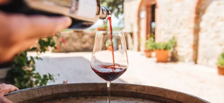 Immagine visita Degustazione 3 vini IGT + olio cantina Winery Amina