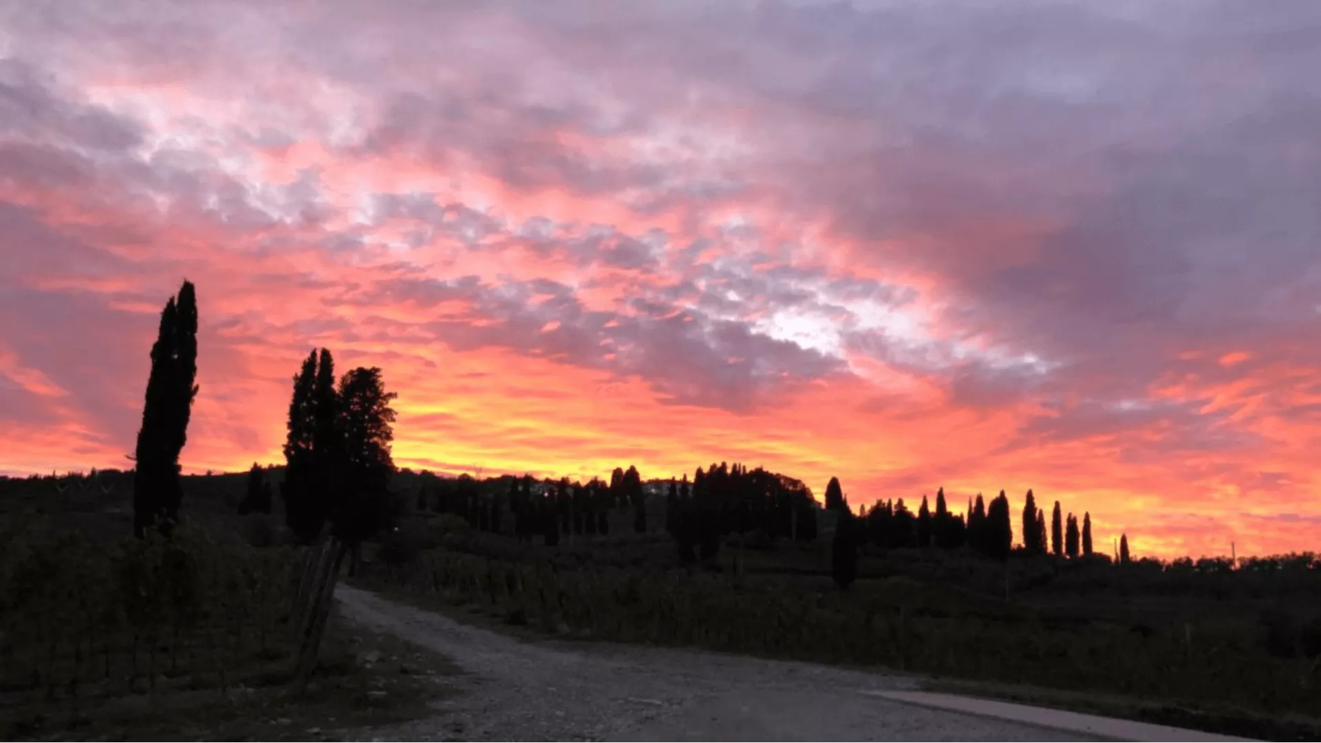 Immagine cantina Fabrizio Pratesi Winery