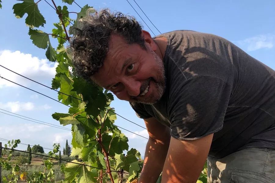 Immagine Fabrizio Pratesi Winery 12 Immagine Fabrizio Pratesi Winery 12